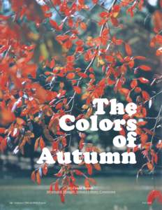 The Colors of Autumn By Coleen Vansant Information Manager, Alabama Forestry Commission