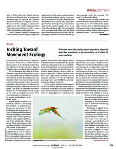 SPECIALSECTION non–El Niño year with a weaker current, the fish were found within the current less frequently, she will report in the Canadian Journal of Fisheries and Aquatic Sciences. Because climate change is expec