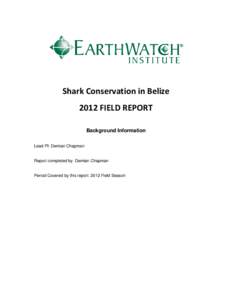 Field Report: Shark Conservation in Belize, 2012