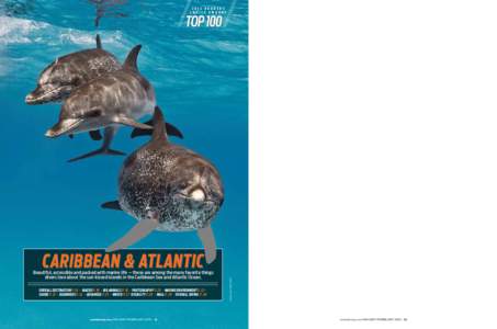 2014 Re a d er s C h oic e Awa rds Beautiful, accessible and packed with marine life ­— these are among the many favorite things ­divers love about the sun-kissed islands in the Caribbean Sea and Atlantic Ocean. Over
