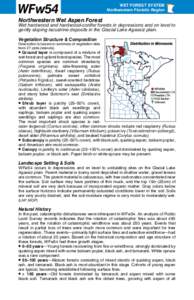 WFw54  WET FOREST SYSTEM Northwestern Floristic Region  Northwestern Wet Aspen Forest