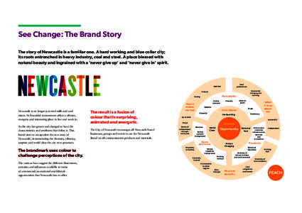 See Change: The Brand Story The story of Newcastle is a familiar one. A hard working and blue collar city; its roots entrenched in heavy industry, coal and steel. A place blessed with natural beauty and ingrained with a 