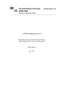The United Nations University  Working Paper no. 24 UNU/IAS Institute of Advanced Studies