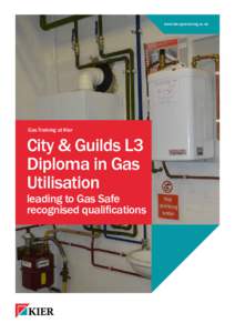 C&G L3 Gas Utilisation