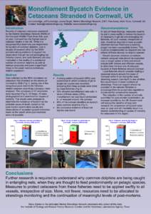 Jan Loveridge, Jeff Loveridge, Joana Doyle, Marine Strandings Network, CWT, Five Acres, Allet, Truro, Cornwall, UK Contact: . Website: www.cwtstrandings.org Introduction  Fig 1: Location of strandin