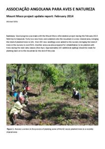 ASSOCIAÇÃO ANGOLANA PARA AVES E NATUREZA Mount Moco project update report: February 2014 Michael Mills Summary: Good progress was made with the Mount Moco reforestation project during the February 2014 field trip to Ka