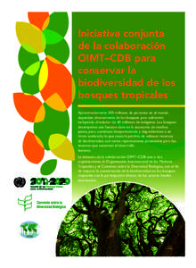 Iniciativa conjunta de la colaboración OIMT–CDB para conservar la biodiversidad de los bosques tropicales