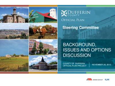 Steering Committee  BACKGROUND, ISSUES AND OPTIONS DISCUSSION COUNTY OF DUFFERIN