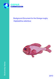 Orange roughy / Convention for the Protection of the Marine Environment of the North-East Atlantic / Slimehead / Fishing industry / Seamount / Bottom trawling / Wild fisheries / Common Fisheries Policy / International Council for the Exploration of the Sea / Fish / Trachichthyidae / Fisheries