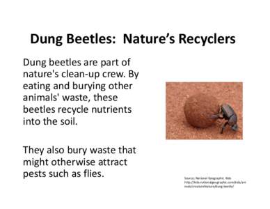 Microsoft PowerPoint - Dung Beetles_williams_2011