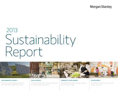 2013  Sustainability Report Environmental Finance