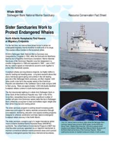 Whale SENSE Stellwagen Bank National Marine Sanctuary Resource Conservation Fact Sheet  Sister Sanctuaries Work to