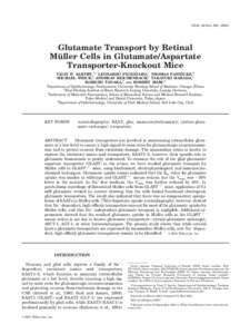 GLIA 49:184 –Glutamate Transport by Retinal Mu ¨ ller Cells in Glutamate/Aspartate Transporter-Knockout Mice