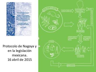 Protocolo de Nagoya y en la legislación mexicana. 16 abril de 2015  Access