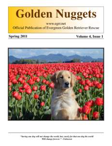 Golden Nuggets www.egrr.net Official Publication of Evergreen Golden Retriever Rescue SpringVolume 4, Issue 1