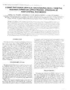 Aetosaurs / Prehistoric reptiles / Archosaurs / Redondasaurus / Redondasuchus / Leptosuchus / Dockum Group / Antorbital fenestra / Thecodont / Herpetology / Phytosaurs / Mesozoic