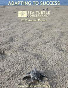 Adapting to success 2011 Annual Report www.conserveturtles.org  From Our Executive Director