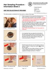 Hair Sampling Procedure Information Sheet 2  Forensic Science SA GPO BOX 2790 Adelaide SA 5001 DX510