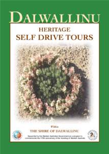 DALWALLINU HERITAGE SELF DRIVE TOURS  Within