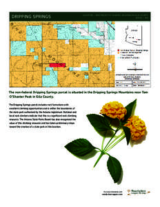 DRIPPING SPRINGS  LOCATION – NORTHEAST OF KEARNY, ARIZONA IN GIL A COUNT Y ACRES – 160  The non-federal Dripping Springs parcel is situated in the Dripping Springs Mountains near Tam