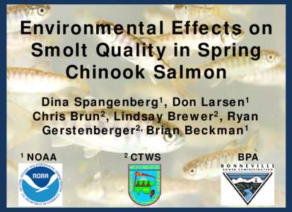 Environmental Effects on Smolt Quality in Spring Chinook Salmon Dina Spangenberg1, Don Larsen1 Chris Brun2, Lindsay Brewer2, Ryan Gerstenberger2, Brian Beckman1