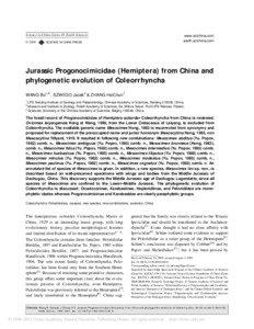 Heteroptera / Daohugou Beds / Prosorrhyncha / Peloridiidae / Yuri Alexandrovich Popov / Palaeontinidae / Homoptera / Haifanggou Formation / Hemiptera / Phyla / Protostome