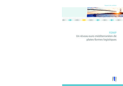 Rapport de synthèse  FEMIP Rapport de synthèse