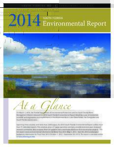 Kissimmee River / South Florida Water Management District / St. Johns River / Restoration of the Everglades / Lake Worth Lagoon / Florida Department of Environmental Protection / Wetland / Draining and development of the Everglades / Florida / Everglades / Lake Okeechobee