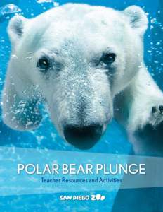 Biota / Polar bear / San Diego Zoo / Empresas Polar / Ice / Grizzly–polar bear hybrid / Brown bear / Bears / Zoology / Biology