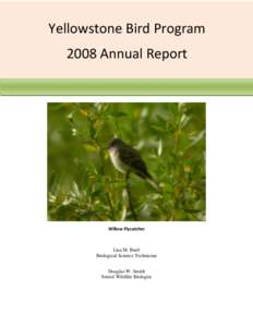 Yellowstone Bird Program Yellowstone Bird Program 2008 Annual Report[removed]Annual Report