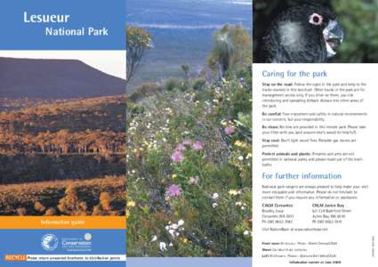 Western Australia / Mount Lesueur / Lesueur National Park / Jurien Bay /  Western Australia / Banksia / Wheatbelt / States and territories of Australia / Geography of Western Australia