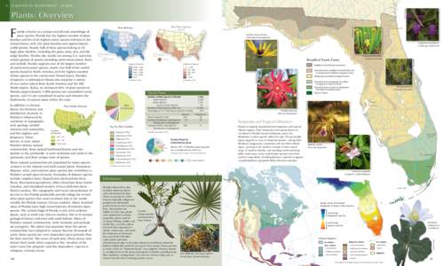 Patricia Stampe  ELEMENTS OF BIODIVERSITY – PLANTS Plants: Overview