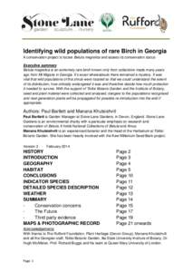 Identifying wild populations of rare Birch in Georgia A conservation project to locate Betula megrelica and assess its conservation status Executive summary Betula megrelica is an extremely rare birch known only from col