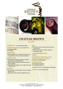 CHAT EAU BROWN BLANC SUPERFICIE : 5,5 ha (domaine de 29ha) ENCÉPAGEMENT DE LA PROPRIÉTÉ : 70% Sauvignon Blanc 30% Sémillon