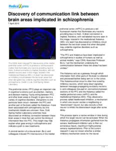 Discovery of communication link between brain areas implicated in schizophrenia