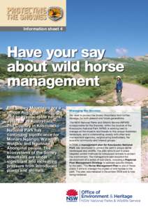 Information sheet 4  Have your say about wild horse management The Snowy Mountains are a