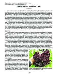 Biology / Medicinal plants / Phenolic compounds in wine / Sambucus / Anthocyanidins / Anthocyanin / Cyanidin / Phenolic content in wine / Aronia / Eudicots / Berries / Botany