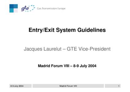 Entry/Exit System Guidelines  Jacques Laurelut – GTE Vice-President Madrid Forum VIII – 8-9 July 2004