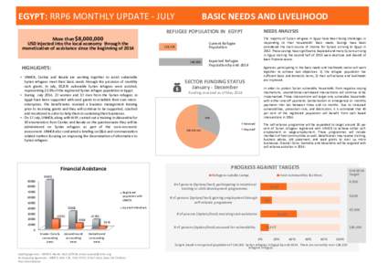 EGYPT: RRP6 MONTHLY UPDATE - JULY  BASIC NEEDS AND LIVELIHOOD REFUGEE POPULATION IN EGYPT More than $8,000,000