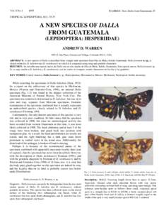 Vol. 8 NoWARREN: New Dalla from Guatemala 35