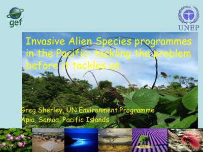 Invasive Alien Species programmes in the Pacific: tackling the problem before it tackles us Greg Sherley, UN Environment Programme Apia, Samoa, Pacific Islands