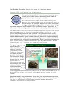 Star Tortoise - Geochelone elegans - Chris Tabaka DVM and Darrell Senneke