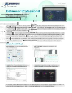 datameer-professional-altiscale-datasheet