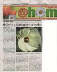 8  Delaware State News, Sunday, September 9, 2007 r