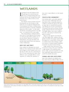 34  AN ATLAS OF BIODIVERSITY WETLANDS n geological terms, the landscape of the