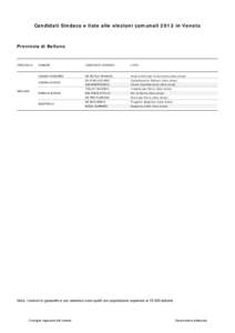 Candidati Sindaco e liste alle elezioni comunali 2013 in Veneto  Provincia di Belluno PROVINCIA