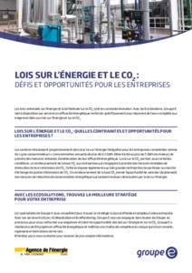 lois sur l’énergie et le CO2 :  défis et opportunités pour les entreprises Les lois cantonales sur l’énergie et la loi fédérale sur le CO2 sont en constante évolution. Avec les EcoSolutions, Groupe E met à 
