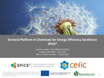 Sectoral Platform in Chemicals for Energy Efficiency Excellence SPICE3 Contract number: IEESI2Duration: April 2013 – June 2015 Date of creation of slides: 27 April 2013