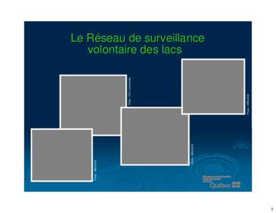 Réseau de surveillance volontaire des lacs (RSVL)