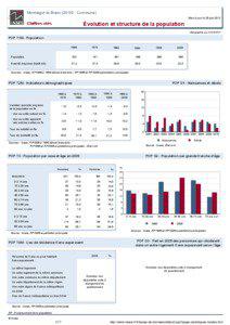 Dossier local - Commune - Montaigut-le-Blanc